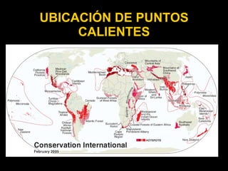 UBICACIÓN DE PUNTOS
     CALIENTES
 