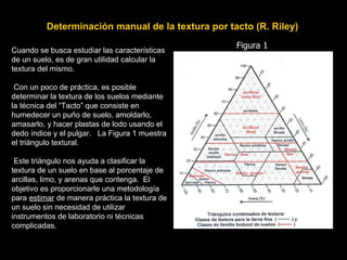 Determinación manual de la textura por tacto (R. Riley)
                                                   Figura 1
Cuando se busca estudiar las características
de un suelo, es de gran utilidad calcular la
textura del mismo.

 Con un poco de práctica, es posible
determinar la textura de los suelos mediante
la técnica del “Tacto” que consiste en
humedecer un puño de suelo, amoldarlo,
amasarlo, y hacer plastas de lodo usando el
dedo índice y el pulgar. La Figura 1 muestra
el triángulo textural.

 Este triángulo nos ayuda a clasificar la
textura de un suelo en base al porcentaje de
arcillas, limo, y arenas que contenga. El
objetivo es proporcionarle una metodología
para estimar de manera práctica la textura de
un suelo sin necesidad de utilizar
instrumentos de laboratorio ni técnicas
complicadas.
 