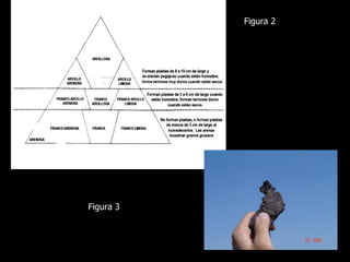 Figura 2




Figura 3
 