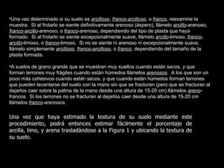•Una vez determinado si su suelo es arcilloso, franco-arcilloso, o franco, reexamine la
muestra. Si al frotarlo se siente definitivamente arenoso (áspero), llámelo arcillo-arenoso,
franco-arcillo-arenoso, o franco-arenoso, dependiendo del tipo de plasta que haya
formado. Si al frotarlo se siente excepcionalmente suave, llámelo arcillo-limoso, franco-
arcillo-limoso, o franco-limoso. Si no se siente ni arenoso ni excepcionalmente suave,
llámelo simplemente arcilloso, franco-arcilloso, o franco, dependiendo del tamaño de la
plasta formada.

•A suelos de grano grande que se muestran muy sueltos cuando están secos, y que
forman terrones muy frágiles cuando están húmedos llámelos arenosos. A los que son un
poco más cohesivos cuando están secos, y que cuando están húmedos forman terrones
que pueden levantarse del suelo con la mano sin que se fracturen (pero que se fracturan al
dejarlos caer sobre la palma de la mano desde una altura de 15-20 cm) llámelos areno-
francos. Si los terrones no se fracturan al dejarlos caer desde una altura de 15-20 cm
llámelos franco-arenosos.

Una vez que haya estimado la textura de su suelo mediante este
procedimiento, podrá entonces estimar fácilmente el porcentaje de
arcilla, limo, y arena trasladándose a la Figura 1 y ubicando la textura de
su suelo.
 
