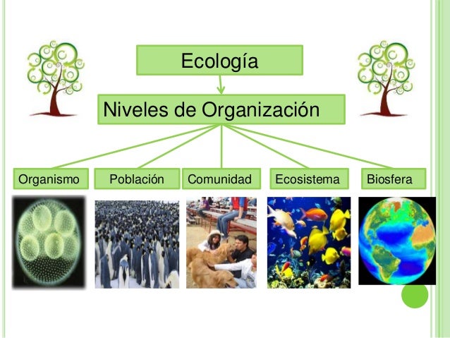 Ecología (parte i)