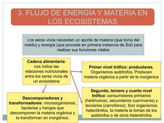 3. FLUJO DE ENERGÍA Y MATERIA EN
            LOS ECOSISTEMAS

        Los seres vivos necesitan un aporte de materia (que toma del
       medio) y energía (que procede en primera instancia de Sol) para
                         realizar sus funciones vitales

         Cadena alimentaria:
             nos indica las             Primer nivel trófico: productores.
        relaciones nutricionales         Organismos autótrofos. Producen
        entre los seres vivos de      materia orgánica a partir de la inorgánica
             un ecosistema

                                          Segundo, tercero y cuarto nivel
                                           trófico: consumidores primarios
         Descomponedores y
                                       (herbívoros), secundarios (carnívoros) y
transformadores: microorganismos,
                                       terciarios (carroñeros). Son organismos
        bacterias y hongos que
                                        heterótrofos, la materia la toman de los
 descomponen la materia orgánica y
                                           autótrofos o de otros heterótrofos
    la transforman en inorgánica.
 