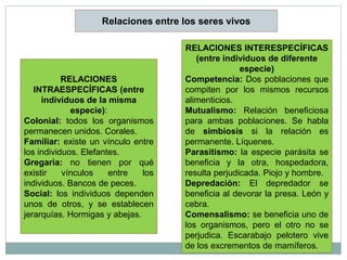 Relaciones entre los seres vivos

                                     RELACIONES INTERESPECÍFICAS
                                        (entre individuos de diferente
                                                    especie)
           RELACIONES                Competencia: Dos poblaciones que
   INTRAESPECÍFICAS (entre           compiten por los mismos recursos
     individuos de la misma          alimenticios.
             especie):               Mutualismo: Relación beneficiosa
Colonial: todos los organismos       para ambas poblaciones. Se habla
permanecen unidos. Corales.          de simbiosis si la relación es
Familiar: existe un vínculo entre    permanente. Líquenes.
los individuos. Elefantes.           Parasitismo: la especie parásita se
Gregaria: no tienen por qué          beneficia y la otra, hospedadora,
existir    vínculos    entre   los   resulta perjudicada. Piojo y hombre.
individuos. Bancos de peces.         Depredación: El depredador se
Social: los individuos dependen      beneficia al devorar la presa. León y
unos de otros, y se establecen       cebra.
jerarquías. Hormigas y abejas.       Comensalismo: se beneficia uno de
                                     los organismos, pero el otro no se
                                     perjudica. Escarabajo pelotero vive
                                     de los excrementos de mamíferos.
 