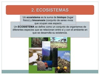 2. ECOSISTEMAS
         Un ecosistema es la suma de biotopo (lugar
          físico) y biocenosis (conjunto de seres vivos
                      que ocupan ese espacio
 Un ECOSISTEMA se define como un conjunto de organismos de
diferentes especies que se relacionan entre sí y con el ambiente en
                    que se desarrolla su existencia.
 