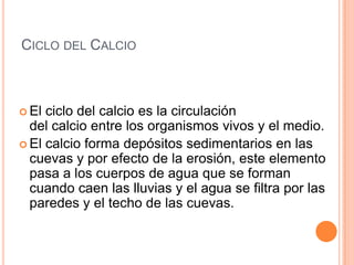 CICLO DEL CALCIO



 El ciclo del calcio es la circulación
  del calcio entre los organismos vivos y el medio.
 El calcio forma depósitos sedimentarios en las
  cuevas y por efecto de la erosión, este elemento
  pasa a los cuerpos de agua que se forman
  cuando caen las lluvias y el agua se filtra por las
  paredes y el techo de las cuevas.
 