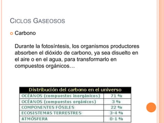 CICLOS GASEOSOS
   Carbono

    Durante la fotosíntesis, los organismos productores
    absorben el dióxido de carbono, ya sea disuelto en
    el aire o en el agua, para transformarlo en
    compuestos orgánicos…
 