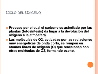 CICLO DEL OXÍGENO


 Proceso por el cual el carbono es asimilado por las
  plantas (fotosíntesis) da lugar a la devolución del
  oxígeno a la atmósfera.
 Las moléculas de O2, activadas por las radiaciones
  muy energéticas de onda corta, se rompen en
  átomos libres de oxígeno (O) que reaccionan con
  otras moléculas de O2, formando ozono.
 
