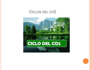 CICLOS DEL CO2
 
