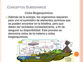 CONCEPTOS SUBSIDIARIOS
                 Ciclos Biogeoquímicos
 Además de la energía, los organismos requieren
  para vivir el suministro de elementos químicos que
  se pueden encontrar en la biósfera, pero que
  deben ser reciclados constantemente, a fin de
  asegurar su disponibilidad. Este proceso se
  denomina ciclos de la materia o ciclos
  biogeoquímicos.
 