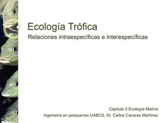 Ecología Trófica Relaciones intraespecíficas e interespecíficas Capitulo 5 Ecología Marina  Ingeniería en pesquerías UABCS, Dr. Carlos Cáceres Martínez 