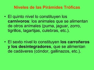 Niveles de las Pirámides Tróficas El quinto nivel lo constituyen los  carnívoros : los animales que se alimentan de otros animales (puma, jaguar, zorro, tigrillos, lagartijas, culebras, etc.). El sexto nivel lo constituyen  los carroñeros y los desintegradores , que se alimentan de cadáveres (cóndor, gallinazos, etc.).  