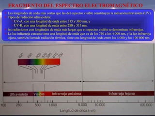 FRAGMENTO DEL ESPECTRO ELECTROMAGNÉTICO Las longitudes de onda más cortas que las del espectro visible constituyen la radiaciónultravioleta (UV). Tipos de radiación ultravioleta: UV-A, con una longitud de onda entre 315 y 380 nm, y UV-B, con una longitud de onda entre 280 y 315 nm. las radiaciones con longitudes de onda más largas que el espectro visible se denominan infrarrojas. La luz infrarroja cercana tiene una longitud de onda que va de los 740 a los 4 000 nm, y la luz infrarroja lejana, también llamada radiación térmica, tiene una longitud de onda entre los 4 000 y los 100 000 nm. 