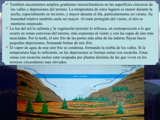 También encontramos amplios gradientes microclimáticos en las superficies cóncavas de  los valles y depresiones del terreno. La temperatura de estos lugares es menor durante la  noche, especialmente en invierno, y mayor durante el día, particularmente en verano. Su humedad relativa también suele ser mayor. Al estar protegido del viento, el aire se  mantiene estancado.  La luz del sol lo calienta y la vegetación terrestre lo refresca, en contraposición a lo que  ocurre en zonas convexas del terreno, más expuestas al viento y con las capas de aire más  mezcladas. Por la tarde, el aire frío de las partes más altas de las laderas fluyen hacia  pequeñas depresiones, formando bolsas de aire frío. El vapor de agua de este aire frío se condensa, formando la niebla de los valles. Si la temperatura baja lo suficiente, en las depresiones se forman zonas con escarcha. Estas  zonas con escarcha suelen estar ocupadas por plantas distintas de las que viven en los  terrenos circundantes más elevados. 