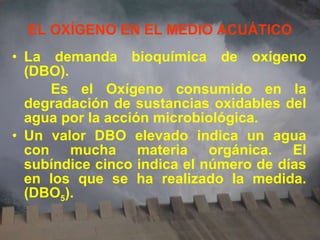 EL OXÍGENO EN EL MEDIO ACUÁTICO La demanda bioquímica de oxígeno (DBO). Es el Oxígeno consumido en la degradación de sustancias oxidables del agua por la acción microbiológica. Un valor DBO elevado indica un agua con mucha materia orgánica. El subíndice cinco indica el número de días en los que se ha realizado la medida. (DBO 5 ). 