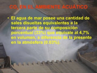 CO 2  EN EL AMBIENTE ACUÁTICO El agua de mar posee una cantidad de sales disueltas equivalentes a la tercera parte de su composición porcentual (33%) que equivale al 4,7% en volumen, a diferencia de la presente en la atmósfera (0.03%). 