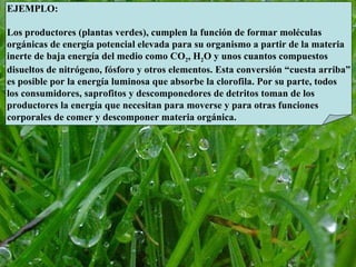 EJEMPLO: Los productores (plantas verdes), cumplen la función de formar moléculas  orgánicas de energía potencial elevada para su organismo a partir de la materia inerte de baja energía del medio como CO 2 , H 2 O y unos cuantos compuestos disueltos de nitrógeno, fósforo y otros elementos. Esta conversión “cuesta arriba” es posible por la energía luminosa que absorbe la clorofila. Por su parte, todos los consumidores, saprofitos y descomponedores de detritos toman de los productores la energía que necesitan para moverse y para otras funciones  corporales de comer y descomponer materia orgánica. 