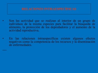 RELACIONES INTRAESPECÍFICAS Son las actividad que se realizan al interior de un grupo de individuos de la misma especies para facilitar la búsqueda de alimento, la protección de los depredadores y el aumento de la actividad reproductiva. En las relaciones intraespecíficas existen algunos efectos negativos como la competencia de los recursos y la diseminación de enfermedades. 