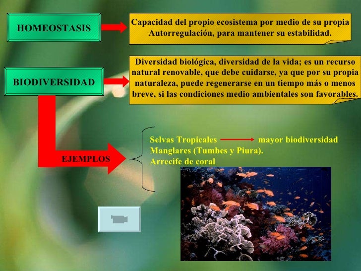 Ecología unc