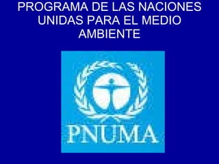 PROGRAMA DE LAS NACIONES UNIDAS PARA EL MEDIO AMBIENTE 