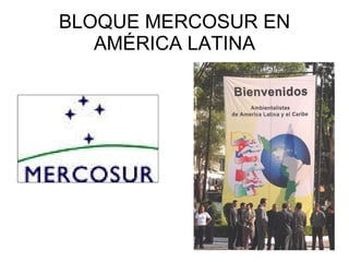 BLOQUE MERCOSUR EN AMÉRICA LATINA 