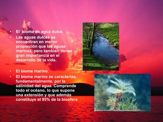El  bioma de agua dulce. Las aguas dulces se encuentran en menor proporción que las aguas marinas, pero también tienes gran importancia en el desarrollo de la vida. El bioma marino. El bioma marino se caracteriza, fundamentalmente, por la salinidad del agua. Comprende todo el océano, lo que supone una extensión y que además constituye el 95% de la biosfera 