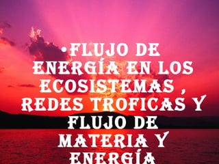 Flujo de energía en los ecosistemas , redes troficas y flujo de materia y energía 
