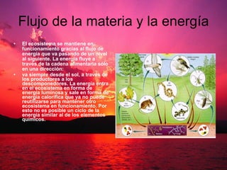 Flujo de la materia y la energía El ecosistema se mantiene en funcionamiento gracias al flujo de energía que va pasando de un nivel al siguiente. La energía fluye a través de la cadena alimentaria sólo en una dirección: va siempre desde el sol, a través de los productores a los descomponedores. La energía entra en el ecosistema en forma de energía luminosa y sale en forma de energía calorífica que ya no puede reutilizarse para mantener otro ecosistema en funcionamiento. Por esto no es posible un ciclo de la energía similar al de los elementos químicos. 