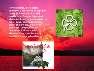 Por otra parte, los factores químicos y los físicos se agrupan como  factores abióticos  del ecosistema. Esto incluye a todo el ambiente  inerte ; por ejemplo, la luz, el agua, el nitrógeno, las sales, el alimento, el calor, el clima, etc. Luego pues, los factores abióticos son los elementos no vivientes en un ecosistema o en la biosfera. 