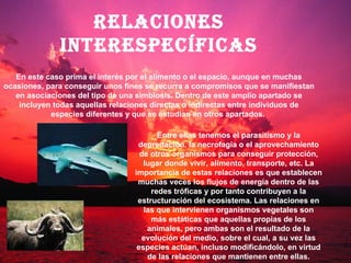 Relaciones interespecíficas En este caso prima el interés por el alimento o el espacio, aunque en muchas ocasiones, para conseguir unos fines se recurra a compromisos que se manifiestan en asociaciones del tipo de una simbiosis. Dentro de este amplio apartado se incluyen todas aquellas relaciones directas o indirectas entre individuos de especies diferentes y que se estudian en otros apartados.   Entre ellas tenemos el parasitismo y la depredación, la necrofagia o el aprovechamiento de otros organismos para conseguir protección, lugar donde vivir, alimento, transporte, etc. La importancia de estas relaciones es que establecen muchas veces los flujos de energía dentro de las redes tróficas y por tanto contribuyen a la estructuración del ecosistema. Las relaciones en las que intervienen organismos vegetales son más estáticas que aquellas propias de los animales, pero ambas son el resultado de la evolución del medio, sobre el cual, a su vez las especies actúan, incluso modificándolo, en virtud de las relaciones que mantienen entre ellas. 