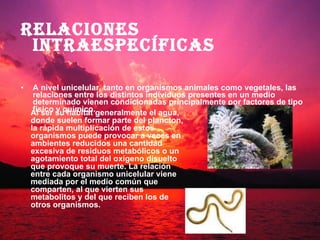 Relaciones intraespecíficas A nivel unicelular, tanto en organismos animales como vegetales, las relaciones entre los distintos individuos presentes en un medio determinado vienen condicionadas principalmente por factores de tipo físico y químico.   Al ser su hábitat generalmente el agua, donde suelen formar parte del plancton, la rápida multiplicación de estos organismos puede provocar a veces en ambientes reducidos una cantidad excesiva de residuos metabólicos o un agotamiento total del oxígeno disuelto que provoque su muerte. La relación entre cada organismo unicelular viene mediada por el medio común que comparten, al que vierten sus metabolitos y del que reciben los de otros organismos. 