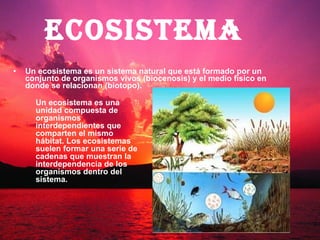 Ecosistema Un ecosistema es un sistema natural que está formado por un conjunto de organismos vivos (biocenosis) y el medio físico en donde se relacionan (biotopo).  Un ecosistema es una unidad compuesta de organismos interdependientes que comparten el mismo hábitat. Los ecosistemas suelen formar una serie de cadenas que muestran la interdependencia de los organismos dentro del sistema.  
