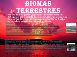 Biomas terrestres Se llama así a los grandes ecosistemas terrestres, fácilmente distinguibles por el aspecto de sus comunidades porque cada uno tiene un tipo de vegetación muy característico (hierba, árboles perennifolios, caducifolios, matorral, etc.).tipos: 
