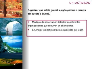 Organizar una salida grupal a algún parque o reserva del pueblo o ciudad. Mediante la observación detectar los diferentes  organizaciones que conviven en el ambiente. Enumerar los distintos factores abióticos del lugar. U 1: ACTIVIDAD 