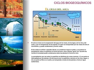 CICLOS BIOGEOQUÍMICOS El ciclo se inicia con la evaporación del agua de los mares, de los lagos, de los ríos y del suelo, y por la transpiración de las plantas. El vapor es transportado por las masas de aire en movimiento, y puede condensarse y formar nubes. Si las nubes se enfrían a grandes alturas, se condensa el agua en gotas, y se produce la precipitación sobre la superficie en forma de lluvia, nieve, granizo, garúa, etc. Durante las noches la humedad puede condensarse sobre las plantas en forma de rocío. La precipitación que cae sobre la superficie se distribuye de varias maneras: (1) una parte es interceptada por las plantas; (2) otra escurre por la superficie y termina en los ríos y lagos; y (3) una parte se filtra en el suelo y es transpirada a través de las plantas o forma el agua subterránea. 