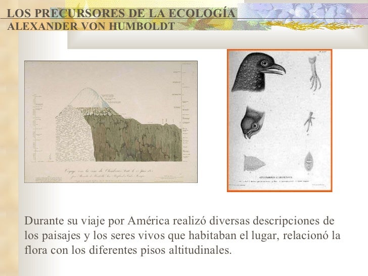 Ecologia