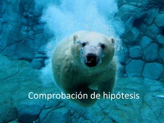 Comprobación de hipótesis 