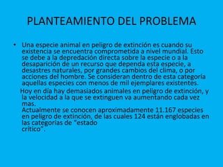 PLANTEAMIENTO DEL PROBLEMA Una especie animal en peligro de extinción es cuando su existencia se encuentra comprometida a nivel mundial.  Esto se debe a la depredación directa sobre la especie o a la desaparición de un recurso que dependa esta especie, a desastres naturales, por grandes cambios del clima, o por acciones del hombre.  Se consideran dentro de esta categoría aquellas especies con menos de mil ejemplares existentes. Hoy en día hay demasiados animales en peligro de extinción, y la velocidad a la que se extinguen va aumentando cada vez mas. Actualmente se conocen aproximadamente 11.167 especies en peligro de extinción, de las cuales 124 están englobadas en las categorías de “estado  crítico”. 