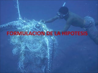 FORMULACION DE LA HIPOTESIS 