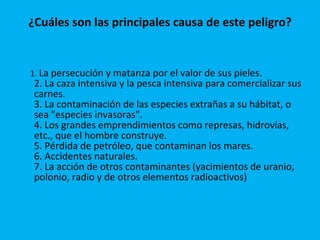 ¿Cuáles son las principales causa de este peligro? 1.  La persecución y matanza por el valor de sus pieles.  2. La caza intensiva y la pesca intensiva para comercializar sus carnes.  3. La contaminación de las especies extrañas a su hábitat, o sea "especies invasoras".  4. Los grandes emprendimientos como represas, hidrovías, etc., que el hombre construye.  5. Pérdida de petróleo, que contaminan los mares.  6. Accidentes naturales. 7. La acción de otros contaminantes (yacimientos de uranio, polonio, radio y de otros elementos radioactivos)  