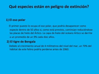 Qué especies están en peligro de extinción?  1) El oso polar   El primer puesto lo ocupa el oso polar, que podría desaparecer como especie dentro de 50 años si, como está previsto, continúan reduciéndose las placas de hielo del Ártico. La capa de hielo del océano Ártico se derrite a un promedio de un 9% cada diez años .  2) El tigre de Bengala   Debido al crecimiento anual de 4 milímetros del nivel del mar, un 70% del hábitat de este felino podría perderse antes de 2060.   