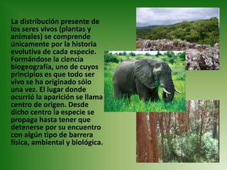      La distribución presente de los seres vivos (plantas y animales) se comprende únicamente por la historia evolutiva de cada especie. Formándose la ciencia biogeografía, uno de cuyos principios es que todo ser vivo se ha originado sólo una vez. El lugar donde ocurrió la aparición se llama centro de origen. Desde dicho centro la especie se propaga hasta tener que detenerse por su encuentro con algún tipo de barrera física, ambiental y biológica.