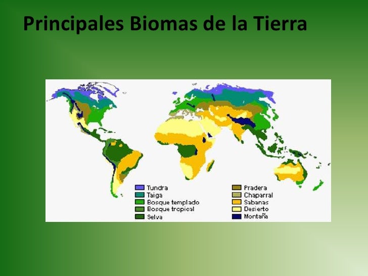 Ecologia