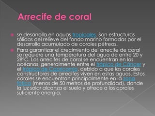 Arrecife de coralse desarrolla en aguas tropicales. Son estructuras sólidas del relieve del fondo marino formadas por el desarrollo acumulado de corales pétreos. Para garantizar el crecimiento del arrecife de coral se requiere una temperatura del agua de entre 20 y 28ºC. Los arrecifes de coral se encuentran en los océanos, generalmente entre el trópico de Cáncer y el trópico de Capricornio, debido a que los corales constructores de arrecifes viven en estas aguas. Estos corales se encuentran principalmente en la zona fótica (menos de 50 metros de profundidad), donde la luz solar alcanza el suelo y ofrece a los corales suficiente energía.