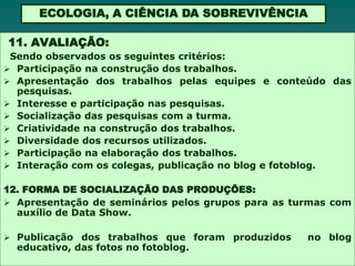 ECOLOGIA, A CIÊNCIA DA SOBREVIVÊNCIA

11. AVALIAÇÃO:
 Sendo observados os seguintes critérios:
 Participação na construção dos trabalhos.
 Apresentação dos trabalhos pelas equipes e conteúdo das
  pesquisas.
 Interesse e participação nas pesquisas.
 Socialização das pesquisas com a turma.
 Criatividade na construção dos trabalhos.
 Diversidade dos recursos utilizados.
 Participação na elaboração dos trabalhos.
 Interação com os colegas, publicação no blog e fotoblog.

12. FORMA DE SOCIALIZAÇÃO DAS PRODUÇÕES:
 Apresentação de seminários pelos grupos para as turmas com
  auxílio de Data Show.

 Publicação dos trabalhos que foram produzidos     no blog
  educativo, das fotos no fotoblog.
 
