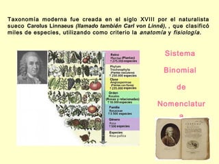 Taxonomía moderna fue creada en el siglo XVIII por el naturalista
sueco Carolus Linnaeus (llamado también Carl von Linné), , que clasificó
miles de especies, utilizando como criterio la anatomía y fisiología.
Sistema
Binomial
de
Nomenclatur
a
 