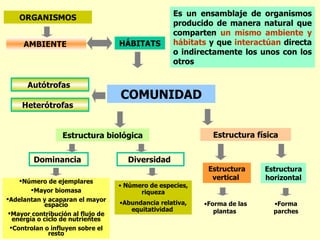 AMBIENTE  ORGANISMOS HÁBITATS COMUNIDAD Autótrofas  Heterótrofas  Estructura biológica Estructura física Dominancia  Número de ejemplares Mayor biomasa Adelantan y acaparan el mayor espacio Mayor contribución al flujo de energía o ciclo de nutrientes Controlan o influyen sobre el resto Diversidad  Número de especies, riqueza Abundancia relativa, equitatividad  Estructura vertical  Estructura horizontal Es un ensamblaje de organismos producido de manera natural que comparten  un mismo ambiente y hábitats  y que  interactúan  directa o indirectamente los unos con los otros Forma de las plantas  Forma parches 