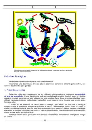 Devido à alimentação variada dos animais, as cadeias alimentares se cruzam e se ramificam na natureza,
            formando as teias alimentares.



Pirâmides Ecológicas

      São representações quantitativas de uma cadeia alimentar.
      Imaginemos uma determinada área de pés de capim que servem de alimento para coelhos, que
servirão de alimentos para gaviões.

1. Pirâmide energética

       Cada nível trófico será representado por um retângulo cujo comprimento representa a quantidade
de energia acumulada. A base da pirâmide será representada pelo produtor (capim), que é o indivíduo
capaz de produzir a energia que será utilizada por toda a cadeia. Parte dessa energia produzida o capim
utilizará nas suas atividades metabólicas (respiração), sendo posteriormente liberada para o meio, sob a
forma de calor.
       O coelho ao se alimentar de capim obterá a energia. que restou; por isso que o retângulo
correspondente à quantidade energética do coelho é menor. Dessa energia que foi tirada do capim, o
coelho utilizará grande parte dela nas suas atividades metabólicas, restando apenas pequena quantidade
energética acumulada. O gavião, que utiliza o coelho como alimento, obterá uma quantidade energética
menor ainda e assim, sucessivamente.
       Podemos concluir então que quanto mais elevado o nível trófico, menor será a obtenção de energia
na cadeia.

                                                                10
 