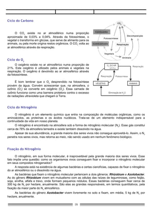 O CO2 existe no ar atmosférico numa proporção aproximada de 0,03% a 0,04%. Através da
fotossíntese, o vegetal o transforma em glicose, que serve de alimento para os animais, ou pela morte
origina restos orgânicos. O CO2 volta ao ar atmosférico através da respiração.



Ciclo do O 2
      O oxigênio existe no ar atmosférico numa proporção de
21%. Este oxigênio é utilizado pelos animais e vegetais na
respiração. O oxigênio é devolvido ao ar atmosférico através
da fotossíntese.

      É bom lembrar que o O2 desprendido na fotossíntese
provém da água. Convém acrescentar que, na atmosfera, o
ozônio (O3) se converte em oxigênio (O2). Essa camada de
ozônio funciona como uma barreira protetora contra o excesso
de radiações ultravioleta que chegam à Terra.



Ciclo do Nitrogênio

      O nitrogênio é um elemento químico que entra na composição de moléculas orgânicas, como os
aminoácidos, as proteínas e os ácidos nucléicos. Trata-se de um elemento indispensável para a
continuidade da vida em nosso planeta.
      O nitrogênio é encontrado na atmosfera sob a forma de nitrogênio molecular (N2). Esse gás constitui
cerca de 78% da atmosfera terrestre e existe também dissolvido na água.
      Apesar de sua abundância, a grande maioria dos seres vivos não consegue aproveitá-lo. Assim, o N2
penetra nos seres vivos, mas retorna ao meio, não sendo usado em nenhum fenômeno biológico.



Fixação do Nitrogênio

      O nitrogênio, em sua forma molecular, é inaproveitável pela grande maioria dos seres vivos. Esse
fato impõe uma questão: como os organismos vivos conseguem fixar e incorporar o nitrogênio molecular
em seus compostos nitrogenados?
      A resposta está na existência de algumas bactérias e certas cianofícias, capazes de fixar o nitrogênio
do ar atmosférico ou o dissolvido na água.
      As bactérias que fixam o nitrogênio molecular pertencem a dois gêneros: Rhizobium e Azotobacter.
As do gênero Rhizobium vivem em mutualismo com as células das raízes de leguminosas, como feijão,
soja, ervilha, alfafa e trevo, onde formam pequenos nódulos. Essas bactérias conseguem fixar cerca de
300 kg de N2 por hectare, anualmente. São elas as grandes responsáveis, em termos quantitativos, pela
fixação da maior parte do N2 atmosférico.
     As bactérias do gênero Azotobacter vivem livremente no solo e fixam, em média, 5 kg de N2 por
hectare, anualmente.
     As cianofícias fixadoras de nitrogênio molecular são encontradas principalmente na água e em solos
encharcados.


                                                    18
 