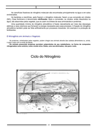 As bactérias e cianofícias, após fixarem o nitrogênio molecular, fazem a sua conversão em nitratos
(NO3). Esse fenômeno é denominado nitrificacão: Após a conversão, os nitratos, então dissolvidos na
água, são absorvidos pelos vegetais, que os usam na síntese de seus aminoácidos e proteínas.
        Uma quantidade mínima de nitrogênio atmosférico é fixada naturalmente por meio das descargas
elétricas e raios cósmicos que fornecem a energia necessária para esse processo. A fixação do nitrogênio
atmosférico também pode ser feita artificialmente por processos industriais. Um exemplo é a produção de
fertilizantes.


O Nitrogênio em Animais e Vegetais

     As proteínas, sintetizadas pelos vegetais, podem chegar aos animais através das cadeias alimentares ou, ainda,
ir para o solo com a morte da planta.
     Os animais possuindo proteínas excretam subprodutos de seu metabolismo, na forma de compostos
nitrogenados como amônia, uréia e ácido úrico. Estes, uma vez eliminados, vão para o solo.




                                Ciclo do Nitrogênio




Importância das Leguminosas
                                                        19
 