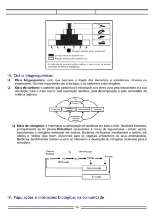 Bactérias denitrificantes fecham o ciclo ao efetuarem a devolução do nitrogênio molecular para a
        atmosfera.




IV. Populações e interações biológicas na comunidade
    Crescimento populacional: uma população apresenta crescimento no ambiente em que vive segundo uma
curva do tipo S: fase inicial, de crescimento lento; fase acelerada, de crescimento rápido; fase de estabilização, em
que não ocorre aumento da população. A densidade populacional aumenta nas fases iniciais, estabilizando-se a
seguir. Toda população tende a crescer indefinidamente, segundo o seu potencial biótico. No entanto, fatores de
resistência ambiental (predatismo, parasitismo, competições) limitam o crescimento populacional, fazendo-a respeitar
a capacidade limite (capacidade de carga) do ambiente, que é o número máximo de indivíduos da população que o
meio suporta.




     Interações biológicas: os indivíduos das diversas espécies interagem no ecossistema. As
      interações podem ser intraespecíficas ou interespecíficas.
     Interações intraespecíficas: são interações que ocorrem entre indivíduos da mesma espécie. São
      exemplos as colônias (de algas, de esponjas) e as sociedades (de insetos sociais, como a das
      formigas e a dos cupins).
     Interações interspecíficas: são as interações que ocorrem entre indivíduos de espécies diferentes e
      podem ser divididas em dois tipos: simbioses (também chamadas de positivas ou harmônicas) e
      antagonismos (também chamadas de negativas ou desarmônicas).
     Simbioses podem ser: mutualismo (benefício para ambas as espécies e obrigatória), cooperação
      (benefício para ambas as espécies e não obrigatória) e comensalismo (benefício apenas para uma
      das espécies; para a outra, a interação é indiferente). O epifitismo é um tipo de inquilinismo onde,
      uma planta do tipo da orquídea, vive apoiado na planta hospedeira, sem prejudicá-la.
     Antagonismos podem ser: parasitismo, predatismo, esclavagismo, amensalismo, antibiose e
      competição interespecífica.


                                                         36
 